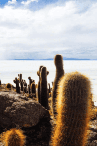 Screenshot 2026-01-29 at 21.58.43